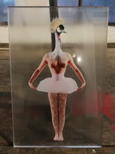 FREE - TEC. MISTA SU PLEXIGLAS-